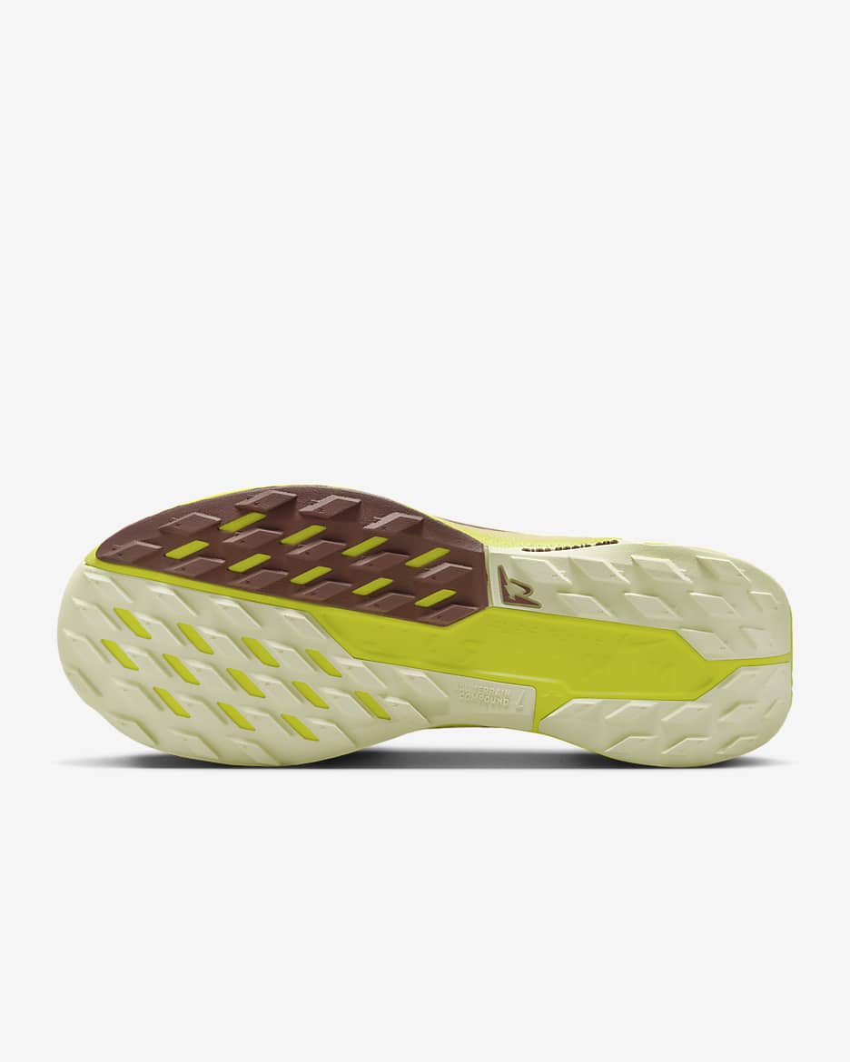 Nike Pegasus Trail 5 GORE-TEX