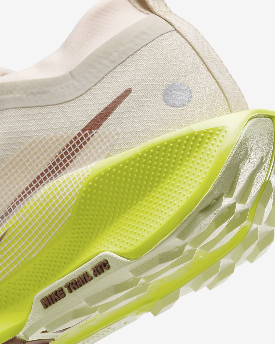 Nike Pegasus Trail 5 GORE-TEX