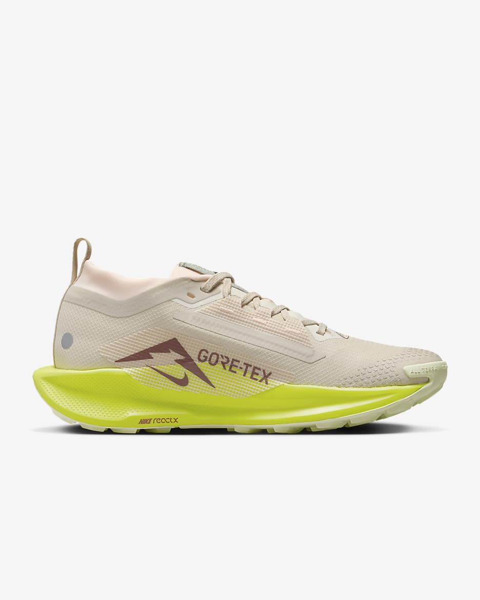 Nike Pegasus Trail 5 GORE-TEX