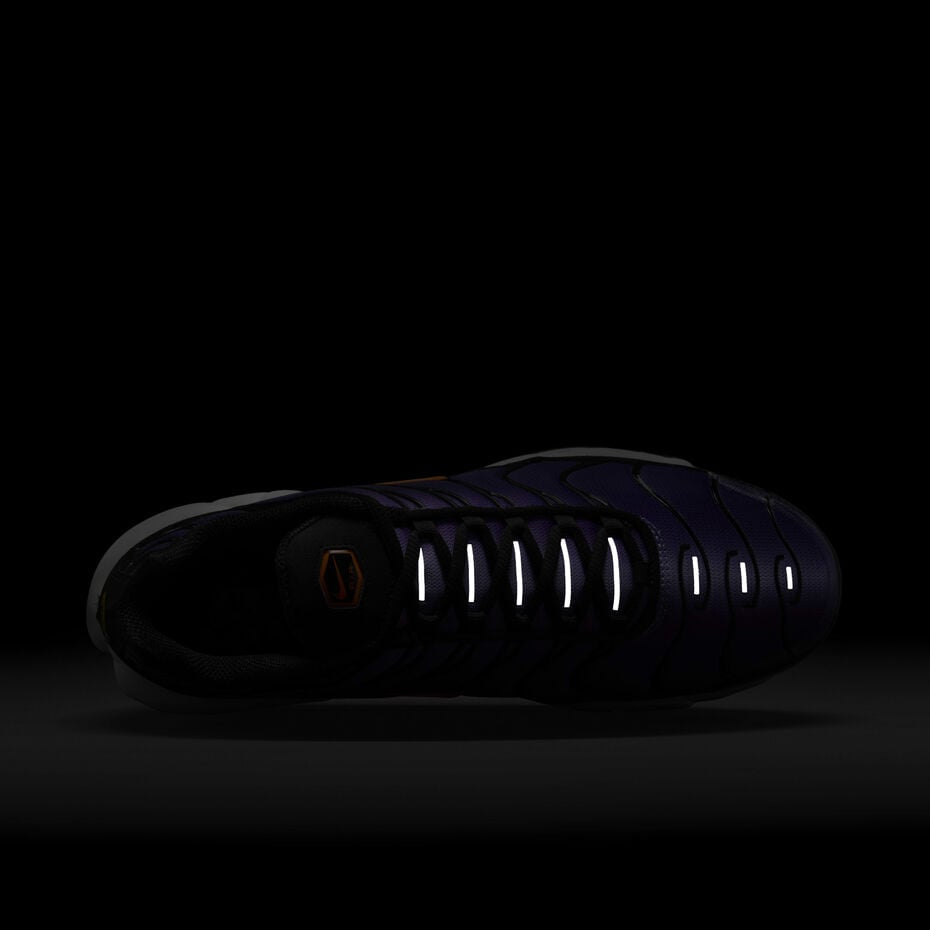 Nike Air Max Plus OG