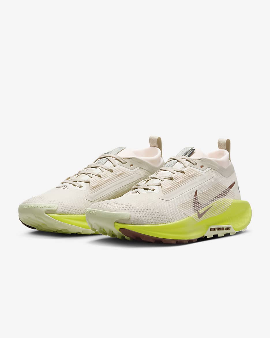 Nike Pegasus Trail 5 GORE-TEX